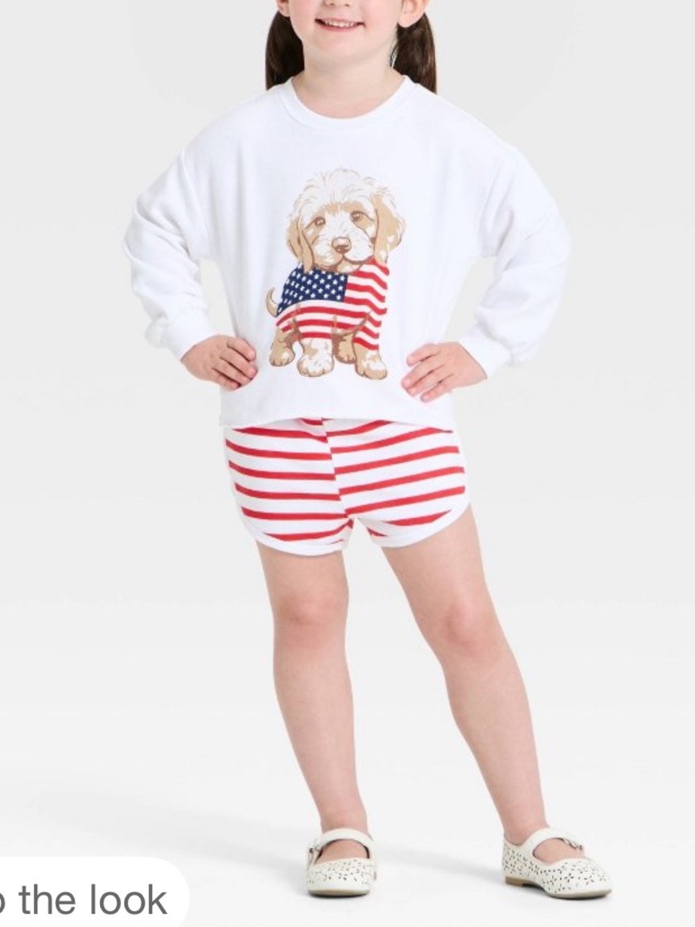 4T Grayson Mini Toddler 4th of July Puppy Flag Crewneck and Shorts